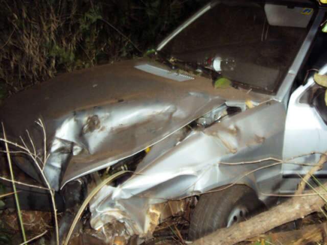  Carro sai da pista e arranca &aacute;rvores em acidente perto de Sonora