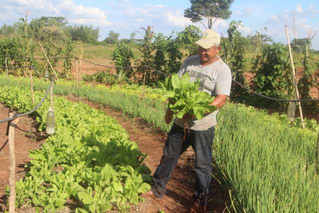 Navira&iacute; cede horta, estrutura e compra de produtos de pequenos agricultores 