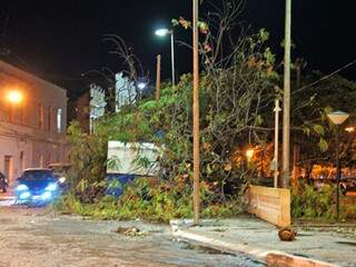 Árvores caíram com ventania e parte da cidade ficou sem energia elétrica. (Fotos: Rodrigo Nascimento/Júnior Teixeira)