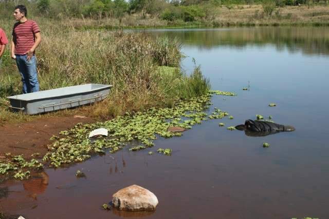 Homem encontrado morto em lagoa bebeu antes de se afogar