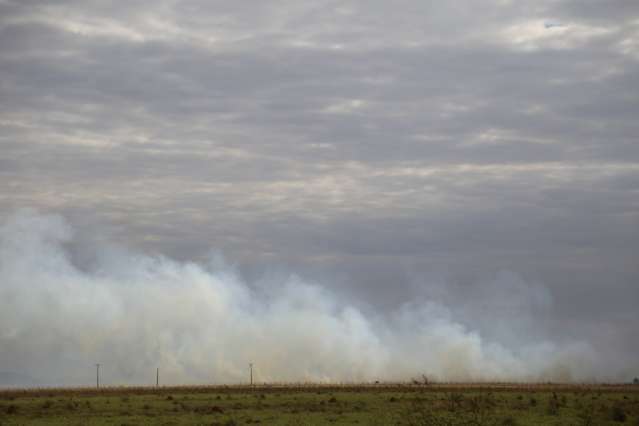 Inc&ecirc;ndios em terrenos aumentam 19% em rela&ccedil;&atilde;o a 2014 no Estado 