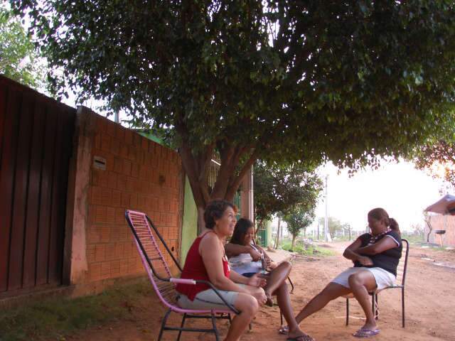 MS lidera arboriza&ccedil;&atilde;o no entorno de resid&ecirc;ncias, revelam dados do IBGE