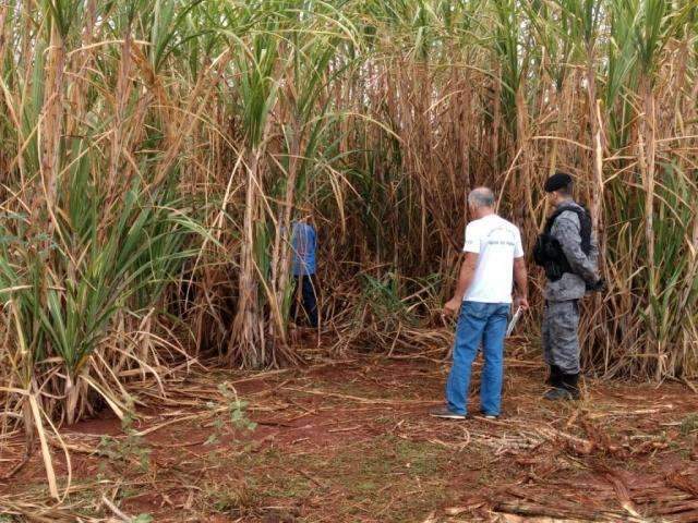 Mulher &eacute; encontrada morta e com sinais de estupro em canavial 