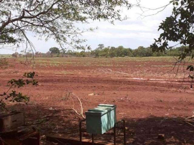 Cercados por &iacute;ndios, sitiantes pedem socorro &agrave; PM para conseguir plantar