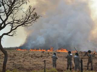 Bombeiros utilizaram abafadores para tentar conter o incêndio em fazenda (Foto: Simão Nogueira)