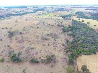 Desmatamento detectado por satélite. Em um ano, foram encontrados 4,1 mil hectares desmatados ilegalmente. (Foto9: Divulgação)