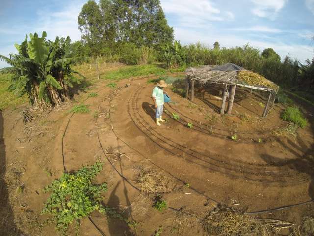 Produtores v&atilde;o participar de encontros para tirar d&uacute;vidas sobre cr&eacute;dito rural