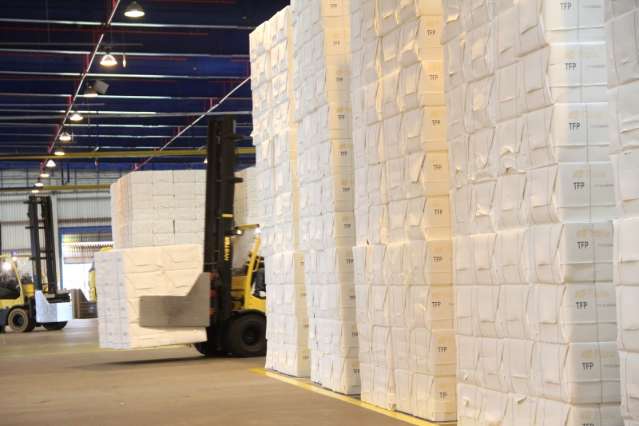 Exporta&ccedil;&otilde;es de celulose crescem 12%, mas industrializados caem 4%