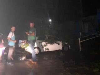 Árvore caída sobre carro; também foi registrada queda de árvore em uma casa (Foto: Direto das Ruas)