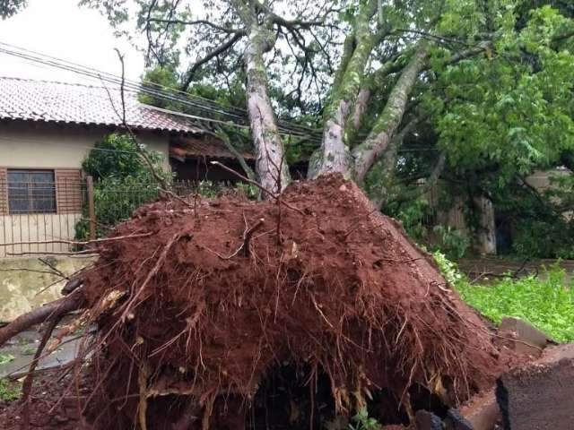 Chuva forte causou queda de energia em 8 cidades, diz Energisa