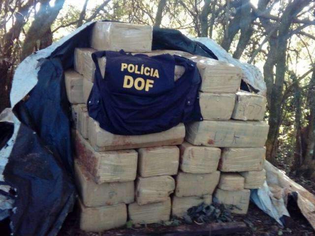 DOF prende cinco pessoas e encontra mais de 2 toneladas de droga em ch&aacute;cara