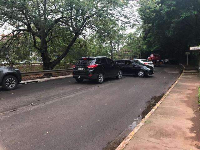 &Aacute;rvore cai, interdita Ricardo Brand&atilde;o e outra corre o risco de despencar