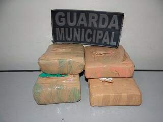 Pacotes de drogas estavam sendo levados para o Paraná (Foto: Divulgação)