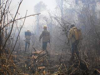 Combate a incêndios florestais exige conhecimentos e treinamento. (foto: Ibama-MS)