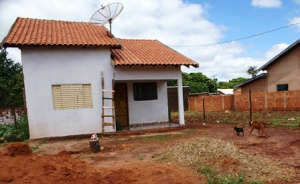  C&atilde;o da ra&ccedil;a pit bull ataca menino de 12 anos em F&aacute;tima do Sul