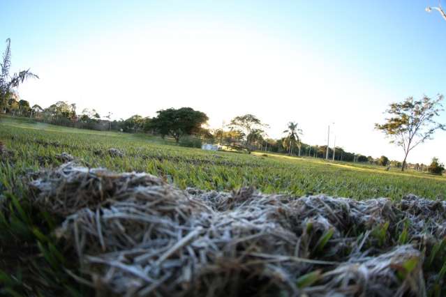 Com temperatura de 2 graus, regi&atilde;o tem geada pelo segundo dia seguido