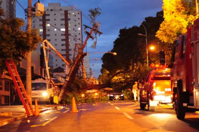 Queda de &aacute;rvore no centro gera caos no tr&acirc;nsito em Campo Grande