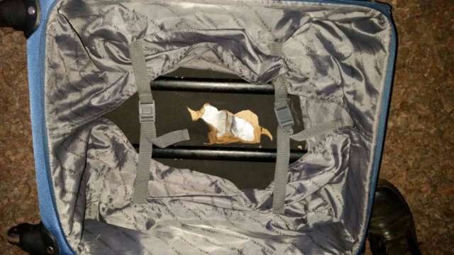 &ldquo;Mais seis pessoas iludidas por vagabundos&rdquo;, diz policial ap&oacute;s pris&otilde;es