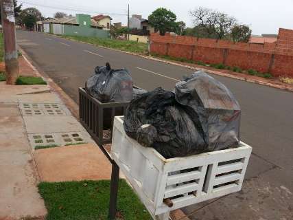 Paralisação acumula lixo nos bairros e coleta deve ser normalizada hoje