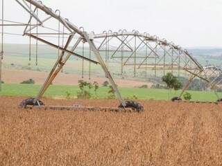 Plantação de soja com sistema de irrigação mecânico. (Foto: Tony Oliveira/CNA/Direitos Reservados)