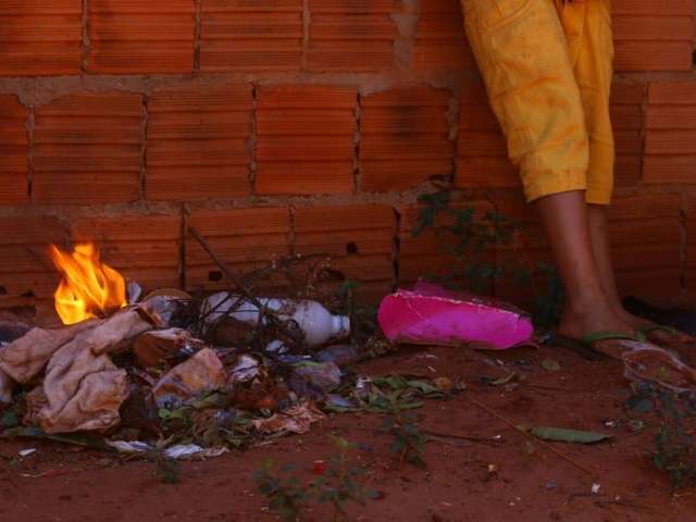 Abelhas atacam moradores, ciclista &eacute; socorrido e bombeiros isolam rua
