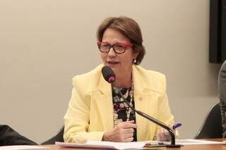 Deputada federal Tereza Cristina (PSB). (Foto: Arquivo)