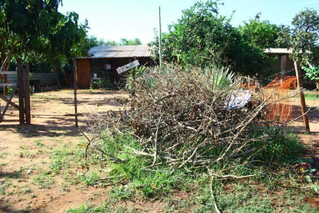 Sob risco de nova epidemia, morador n&atilde;o v&ecirc; combate a dengue nos bairros