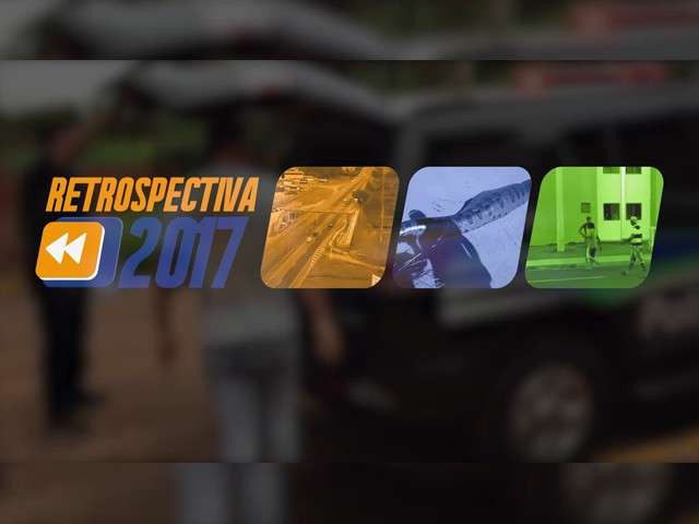 &lsquo;Ladra gata&rsquo;, acidentes, mortes e sucuris: reveja v&iacute;deos que bombaram neste ano