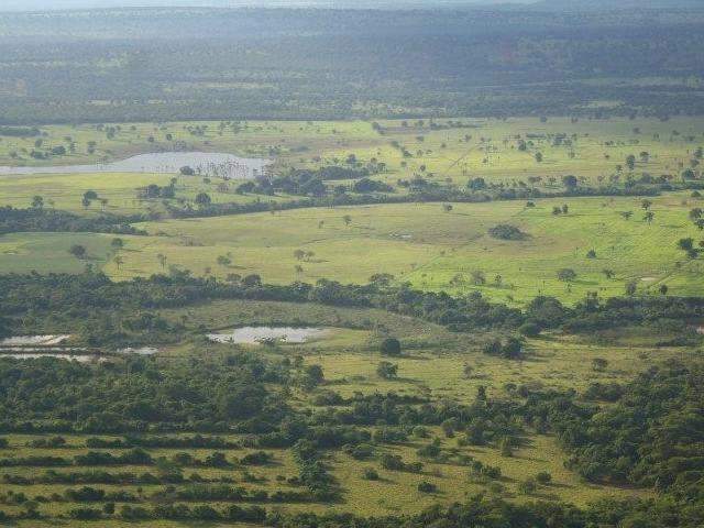 Come&ccedil;a nesta segunda o prazo para declara&ccedil;&atilde;o de imposto sobre &aacute;rea rural