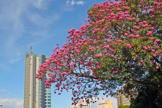 Primavera chega com temperaturas altas e umidade do ar abaixo dos 20% 