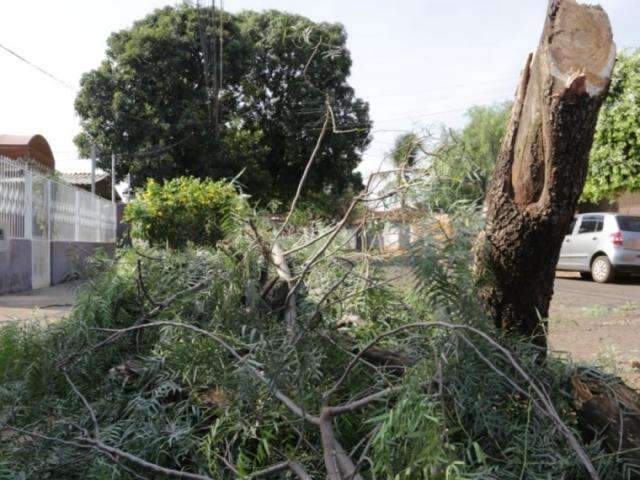  Inmet divulga alerta de temporal com ventos de 60 km/h e queda de granizo 