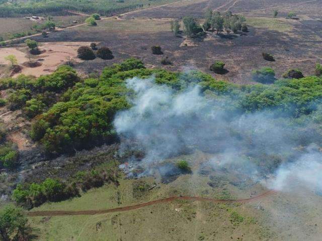 Ap&oacute;s 2&ordm; dia de combate, dobra &aacute;rea queimada por inc&ecirc;ndio em fazenda