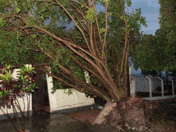 Ap&oacute;s temporal, Prefeitura de Coxim estuda decretar estado de emerg&ecirc;ncia 