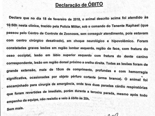 Suspeito de matar pitbull Minnie &eacute; multado em R$ 3 mil pela pol&iacute;cia
