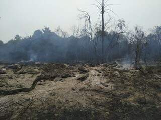 Empresa ainda pode ser indiciada criminalmente pelo incêndio, segundo polícia ambiental (Foto/Divulgação: PMA)
