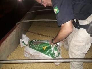 Droga estava escondida em meio a carga de soja (Foto: Divulgação)
