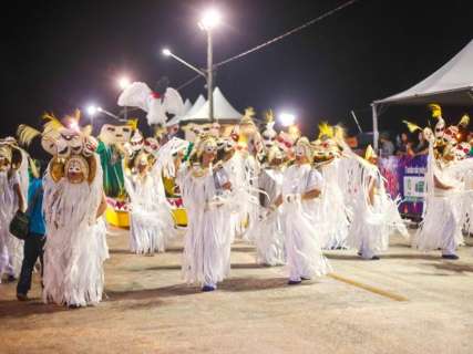 Apuração de desfile de Carnaval acontece no domingo, garante Lienca 