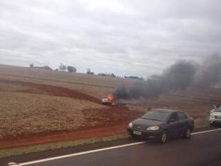 Veículo pegou fogo após capotar e invadir plantação ás margens da BR-463 (Foto:Direto das Ruas )