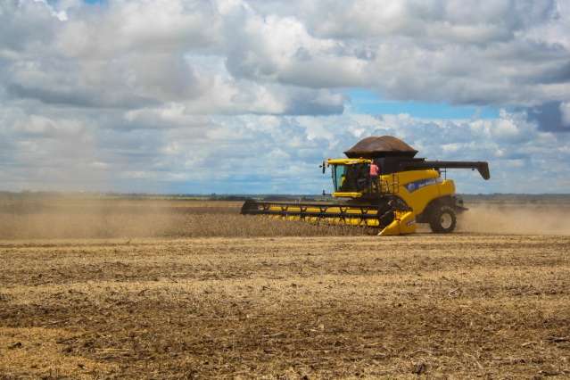 Terra agr&iacute;cola em MS se valoriza em 586%, 2&ordm; maior aumento no Pa&iacute;s