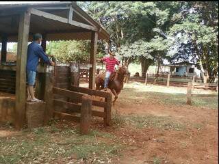Foto na página do Facebook de Rafael mostra o sul-mato-grossense treinando para torneios de laço comprido. (Foto: Álbum pessoal)