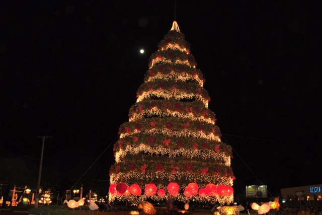 S&atilde;o Gabriel do Oeste inicia o "Natal Luzes do Cerrado" no s&aacute;bado