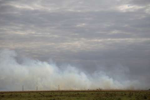 Incêndios em terrenos aumentam 19% em relação a 2014 no Estado 