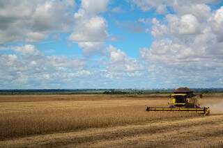 Crédito rural será ampliado com crescimento da área de soja plantada (Foto: Marcos Ermínio)