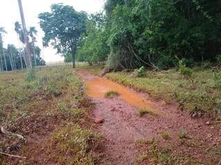 Fazenda de soja de onde lama que atingiu rio teria saído (Foto: Divulgação/PMA)