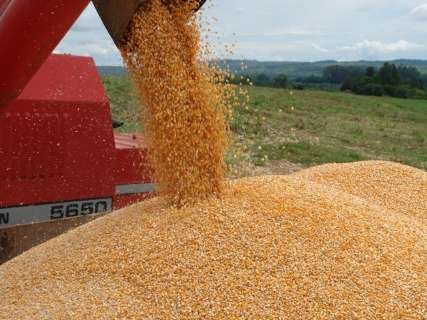 Grupos  investem R$ 140 milhões na produção de etanol do milho em MS