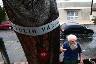 Até o tiro de Getúlio Vargas está no tronco do cajueiro. (Foto: Marcos Ermínio)