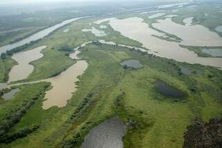 Complexo ambiental influenciado pelo Paraná, entre MS e SP, tem características idênticas ao Pantanal: um chamariz ainda não descoberto pelo turismo