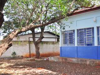 Com ventos fortes, árvore cai sobre telhado de escola(fotos: João Garrigó)