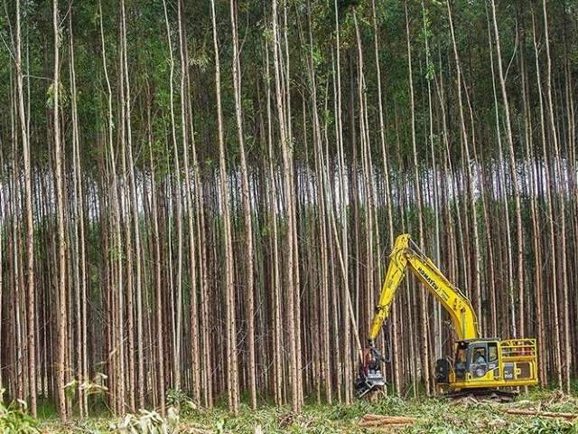 F&aacute;brica de celulose oferece 34 oportunidades para trabalho em quatro cidades