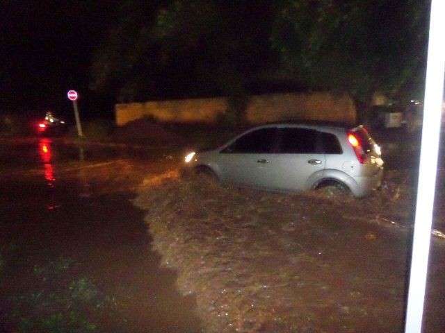 Chuva causa queda de &aacute;rvores e bombeiros s&atilde;o acionados para liberar via